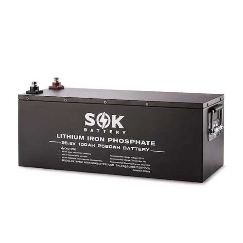 SOK SK24V100 24V 100Ah LiFePO4 Battery